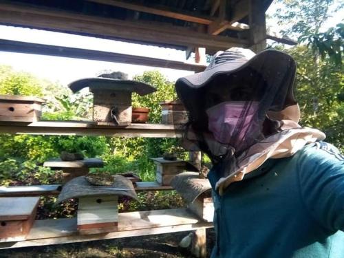 Jolits EcoGarden Hostel — Batuan — photo 5