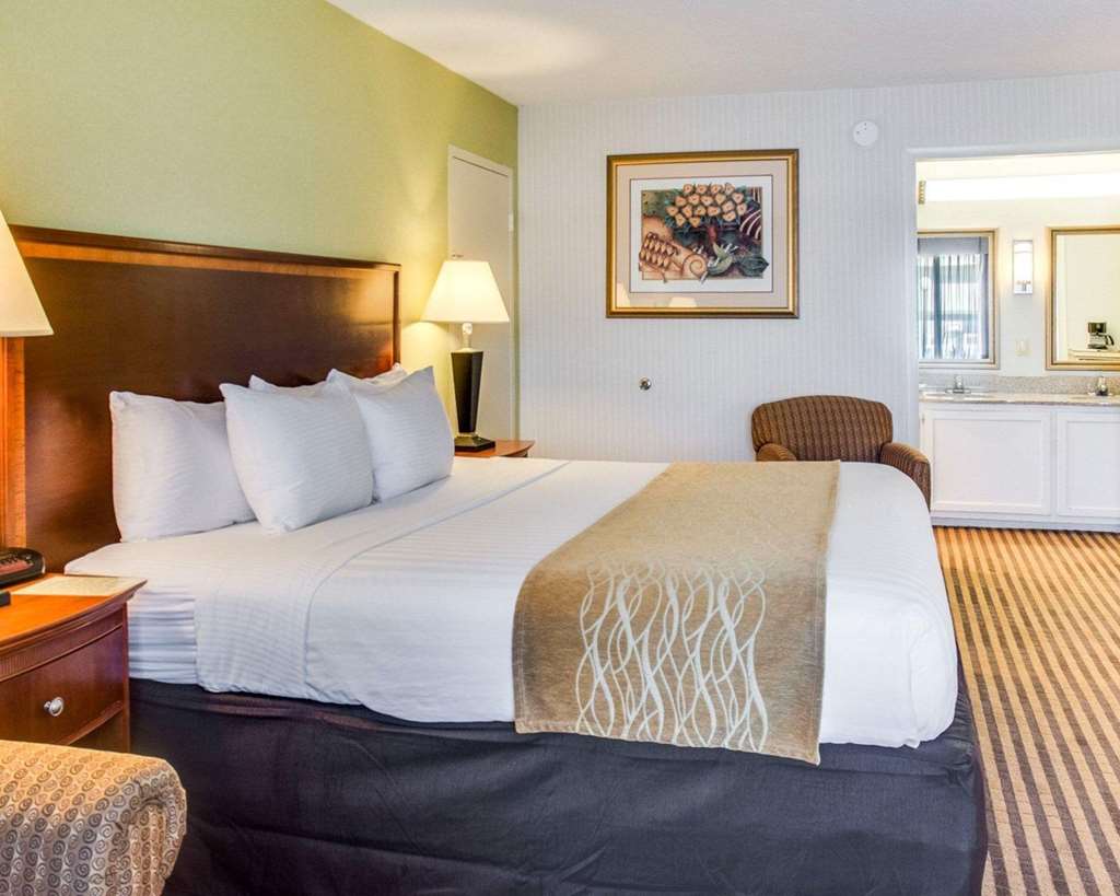 Clarion Inn Fredericksburg North - photo 9