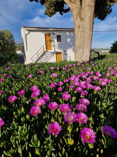 Casita of Casa Olivar — 4-Star Luxury Hotel in Illora, Spain
