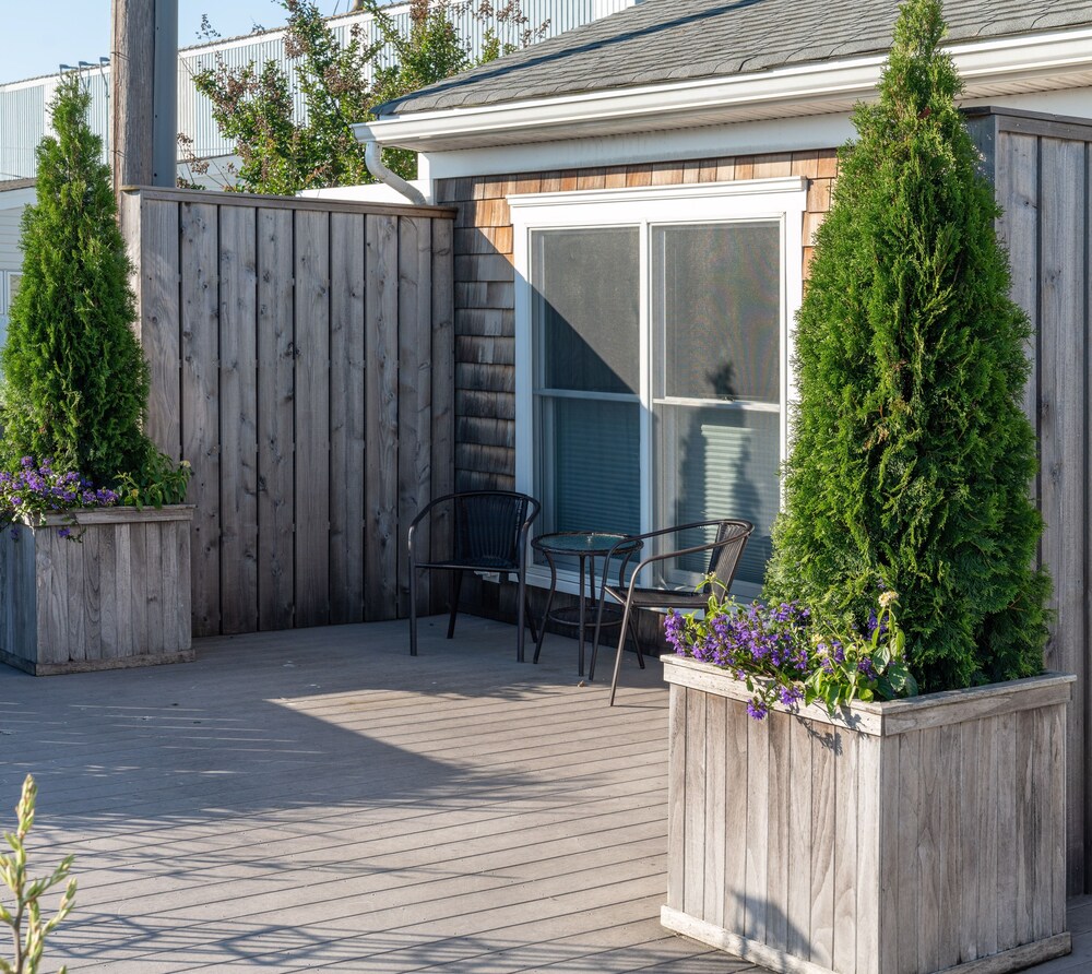 Heron Suites - photo 4