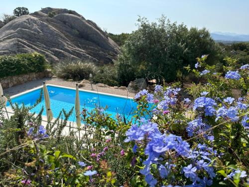 Art Villa — 4-Star Luxury Hotel in San Teodoro, Italy