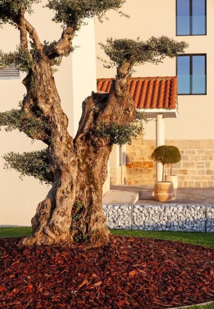 Finca la Desa — hotel in Miajadas