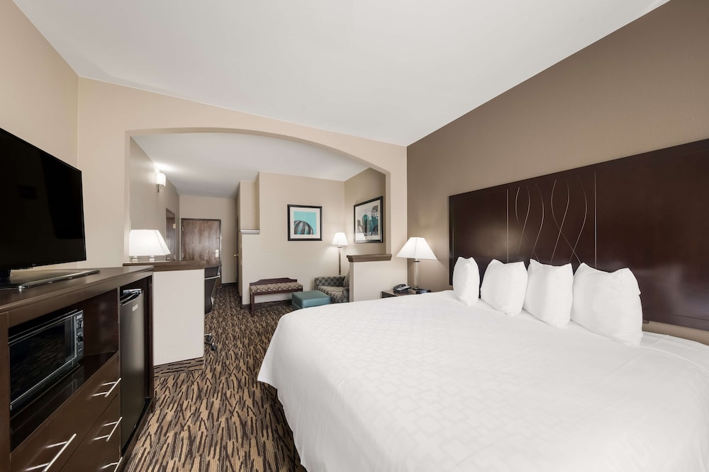 Comfort Suites Plano East Richardson - photo 34