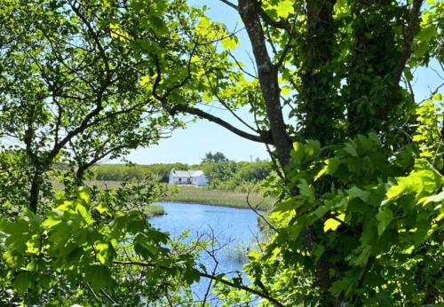River Cottage Clifden — 4-Star Luxury Hotel in Clifden, Republic of Ireland
