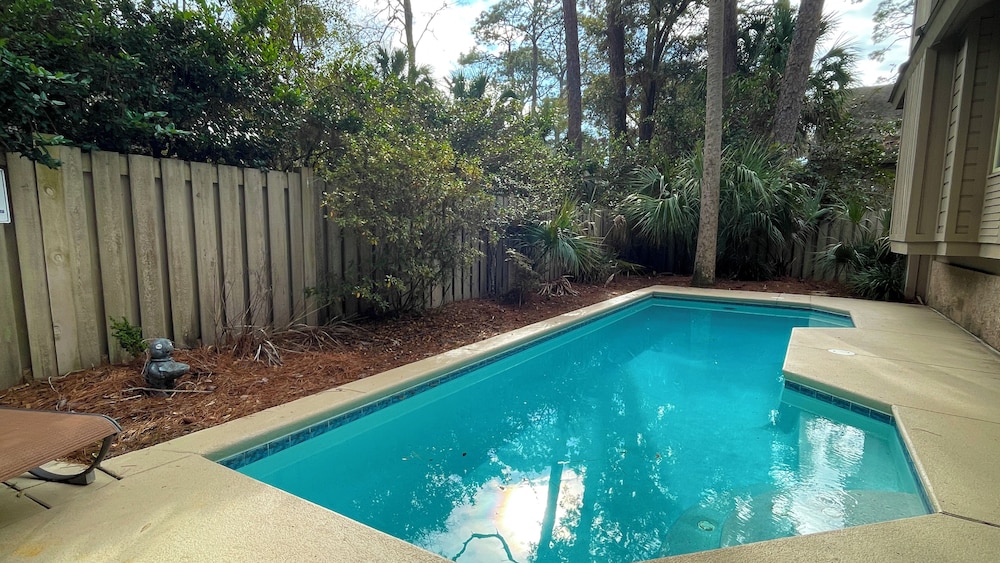 8 Surf Scoter at The Sea Pines Resort - photo 15