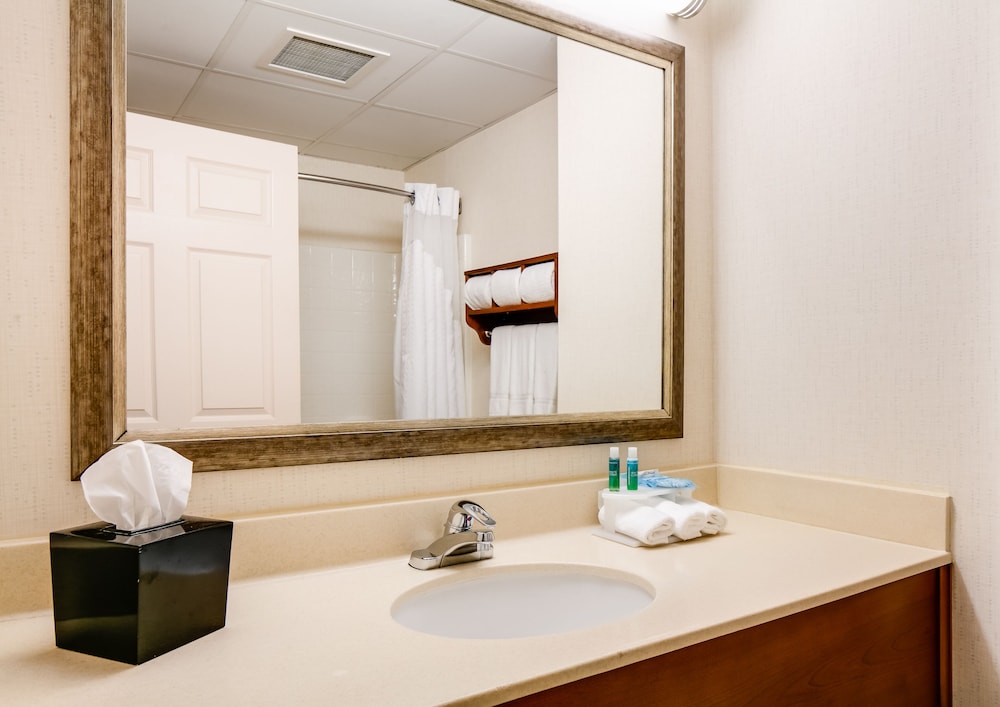 Holiday Inn Express Coralville by IHG - photo 30
