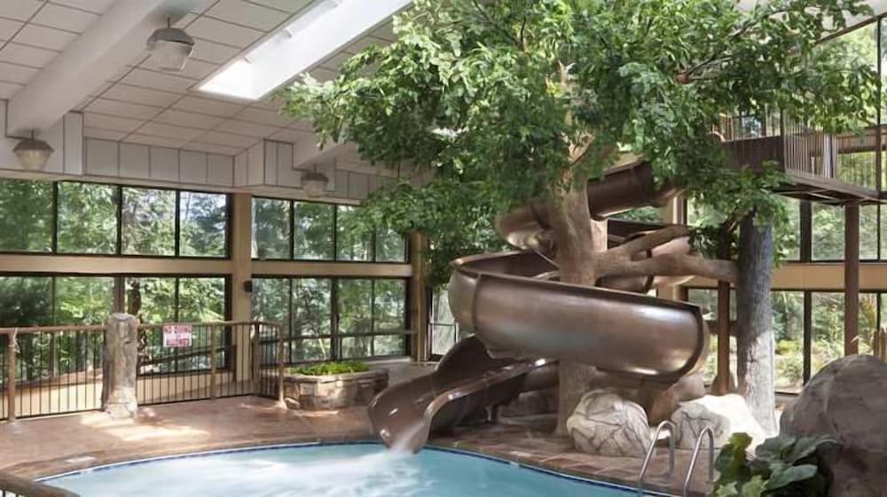 The Park Vista a DoubleTree by Hilton Hotel Gatlinburg - photo 22