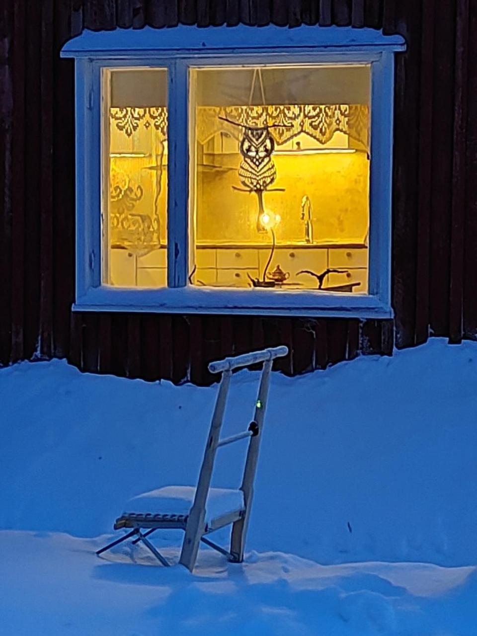 Mummon Mökki — Sodankylae — photo 2