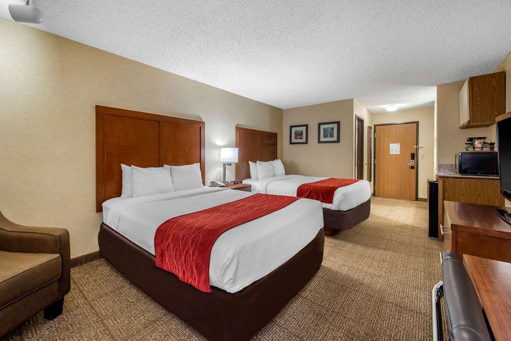 Comfort Inn Denver Southeast Area - photo 16