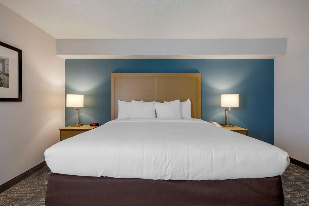 Comfort Inn & Suites Alexandria West - photo 5