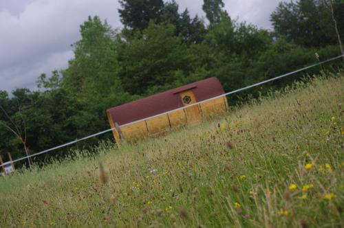 Yourte Mongole — Saint-Leger-Sur-Dheune — photo 2