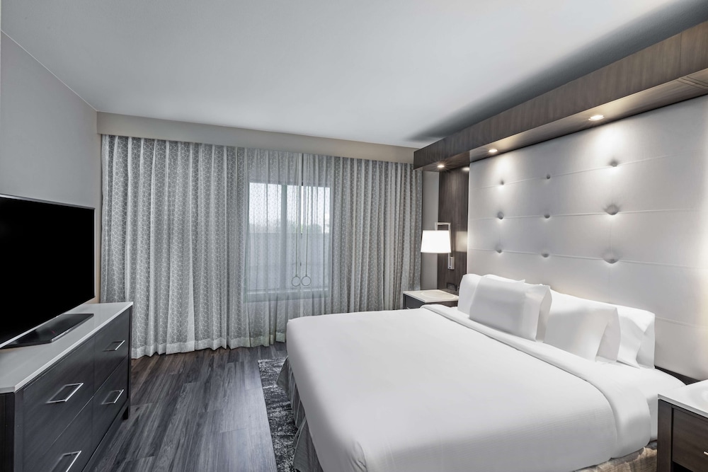 Embassy Suites by Hilton Houston Energy Corridor - photo 12