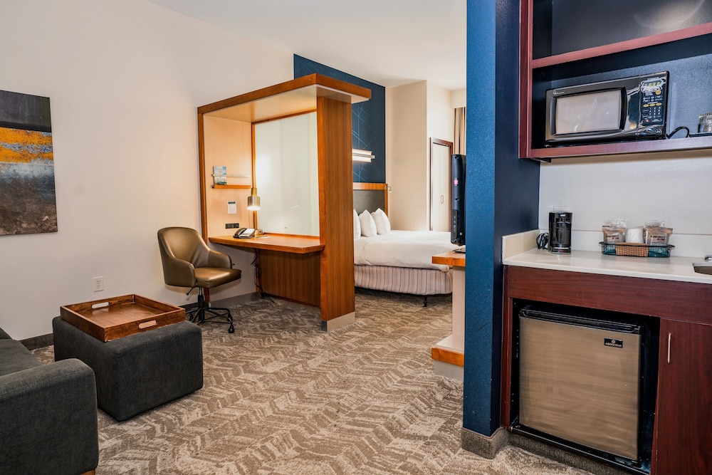 SpringHill Suites by Marriott San Antonio Alamo Plaza Convention Center - photo 10