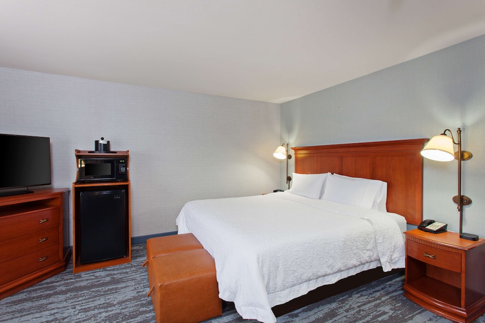 Hampton Inn & Suites Clovis Airport North - photo 9