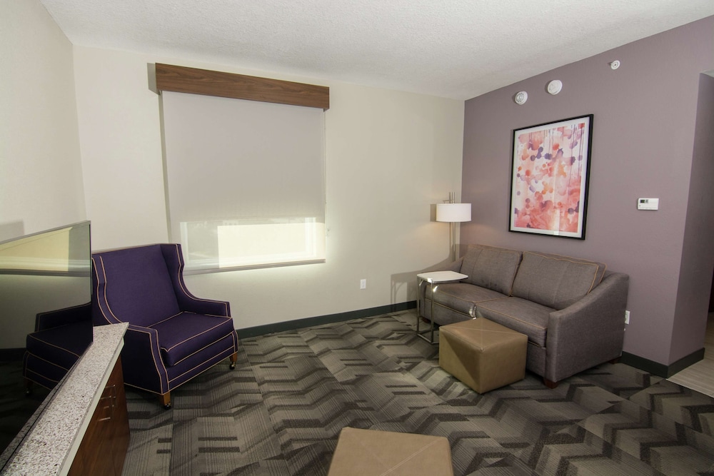 Hilton Garden Inn Tampa Suncoast Parkway - photo 34