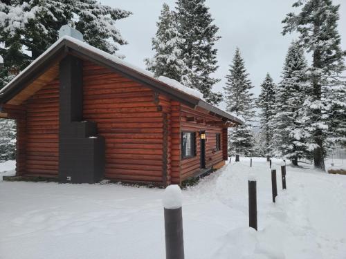 Cooper Spur Mountain Resort - photo 93