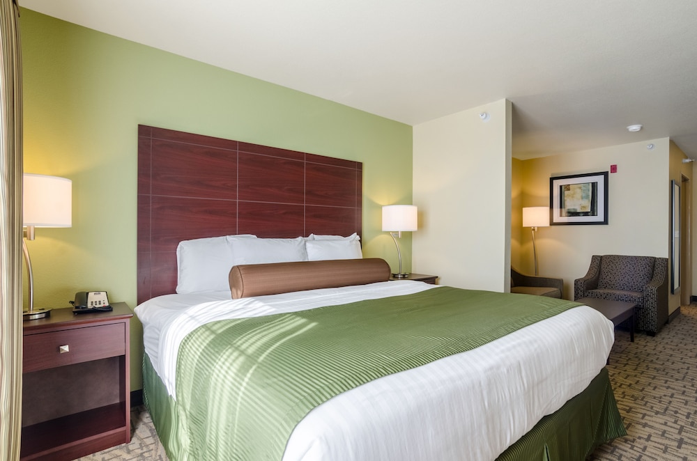 Cobblestone Hotel & Suites Beulah - photo 5