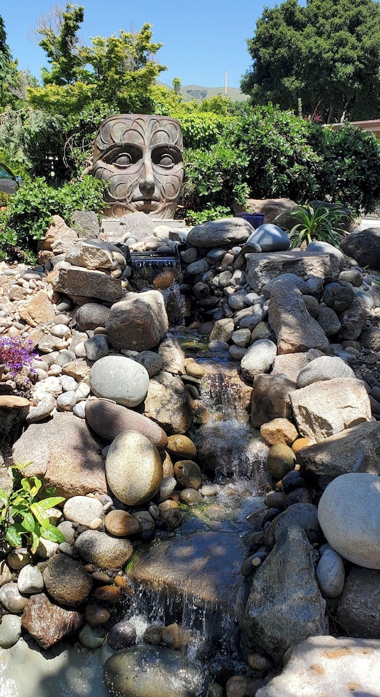 Carmel Valley Lodge and Resort - photo 49