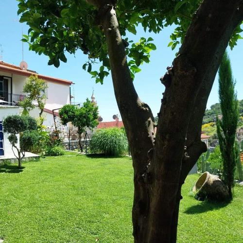 Il Giardino di Gio’ — Imperia — photo 3