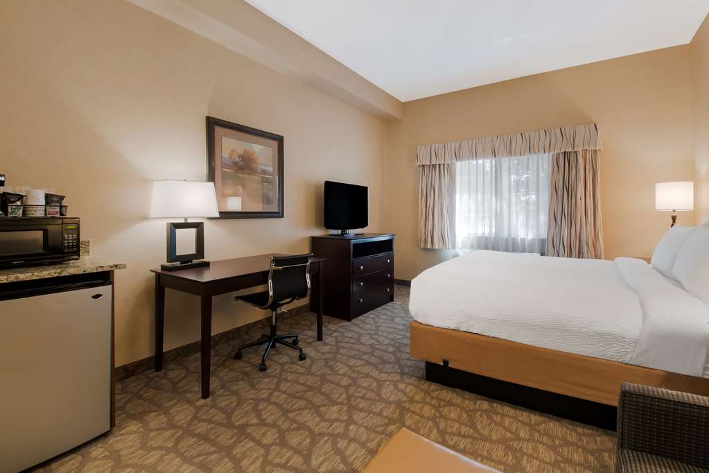 Best Western University Inn & Suites - photo 11