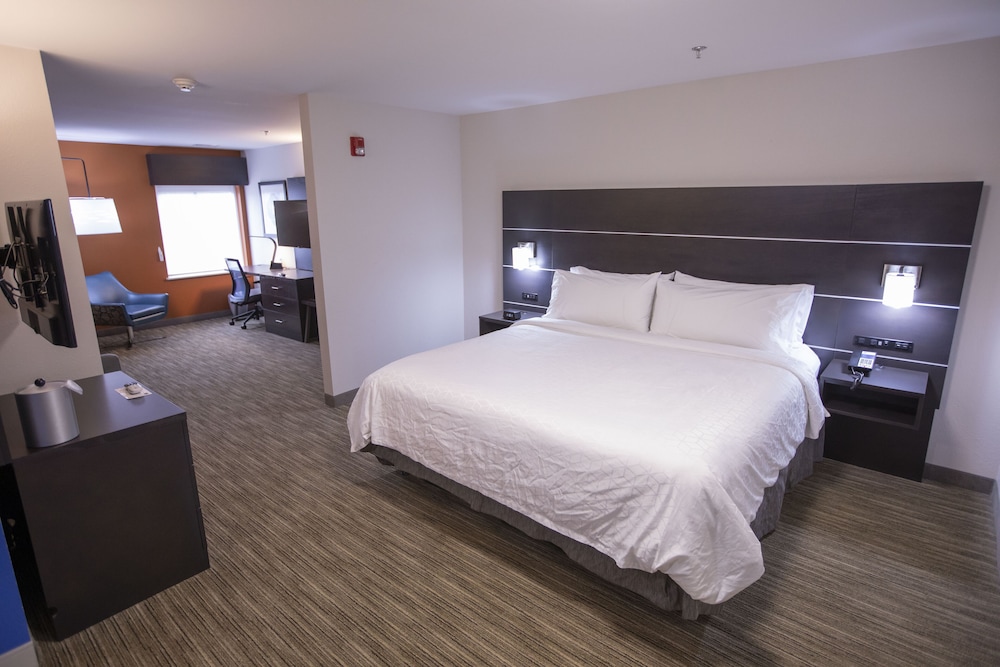 Holiday Inn Express & Suites Locust Grove by IHG - photo 5