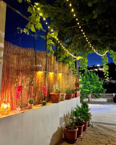 Stou Stefani in Unknown City, Cyprus