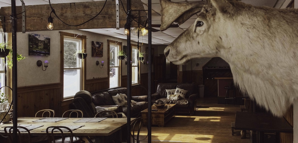 The Balsam Inn - photo 37