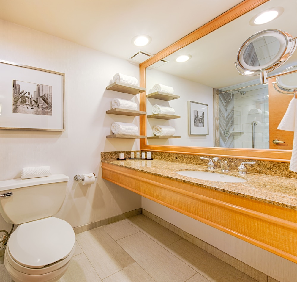 Embassy Suites by Hilton Chicago O'Hare Rosemont - photo 24