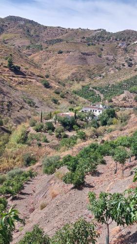 Cortijo Lagar de Luisa — Almachar — photo 2