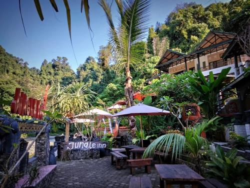 Jungle Inn Bukit Lawang — Berastagi