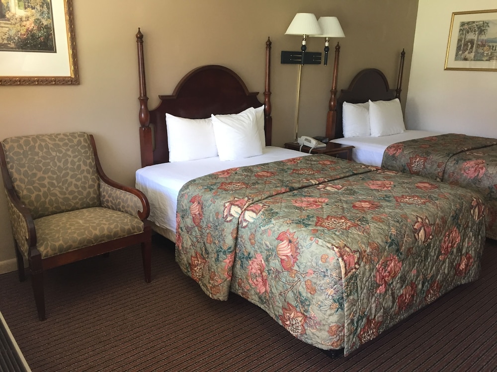 Hotel Manteo - photo 13