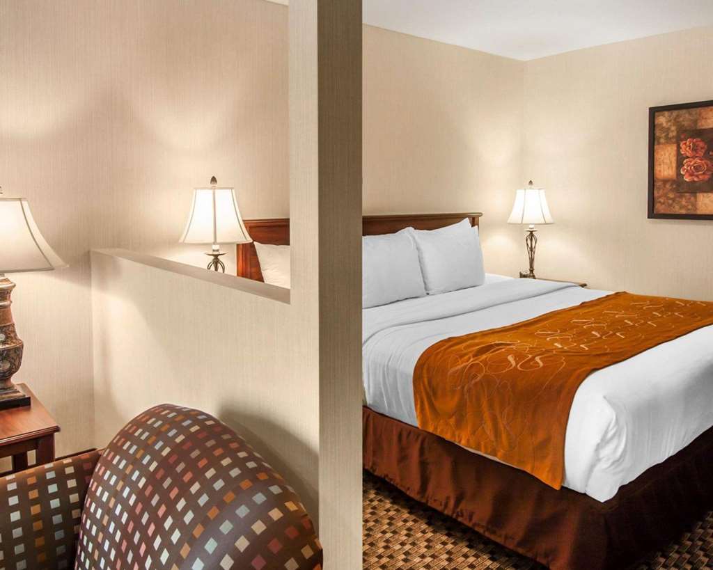 Comfort Suites Corvallis - photo 34