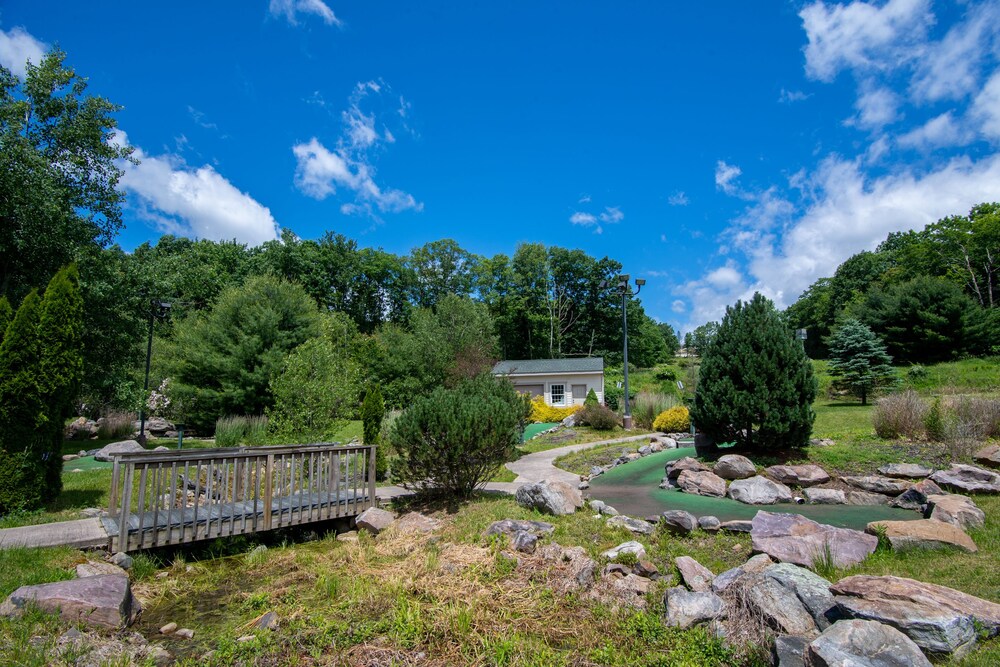 Mountain Laurel Resort - photo 36