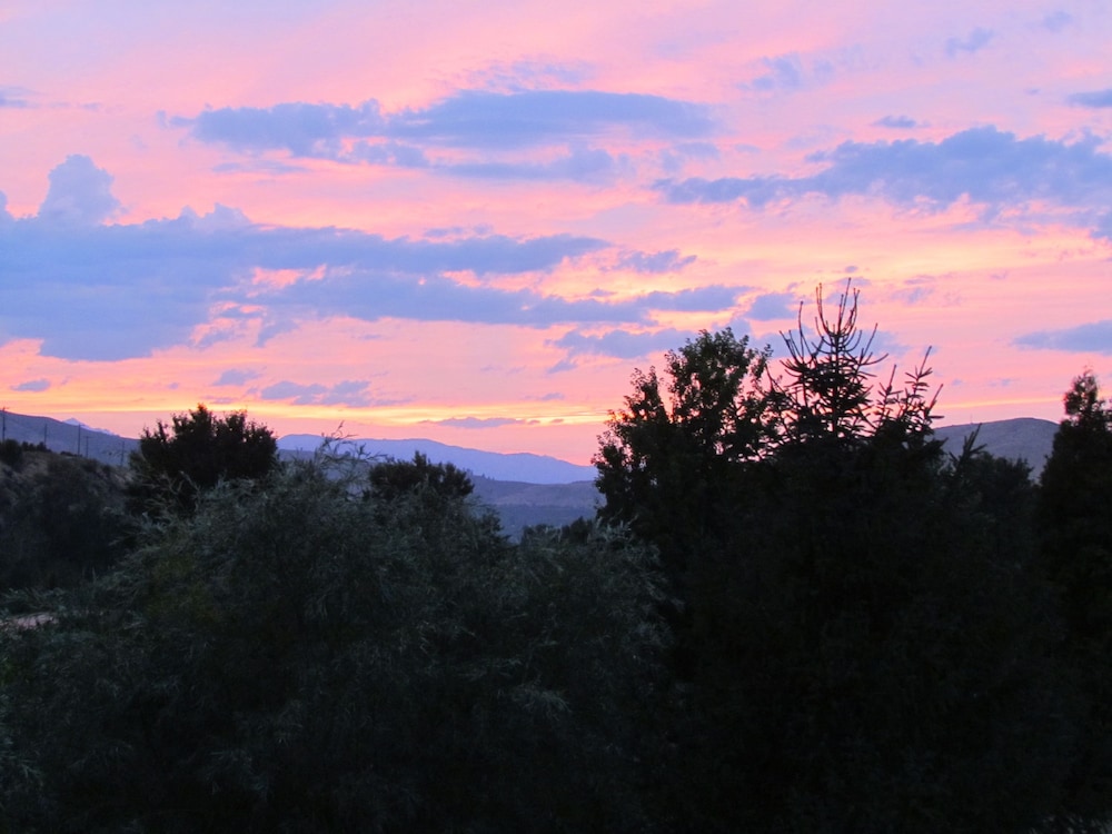 Warm Springs Inn & Winery - photo 104