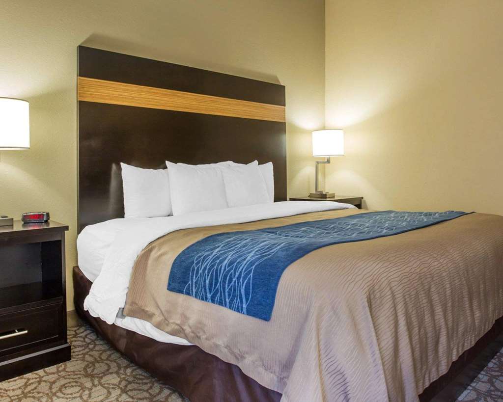 Comfort Inn & Suites at Stone Mountain - photo 12