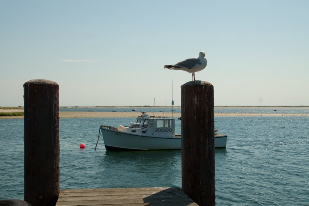 A Little Inn on Pleasant Bay - photo 47