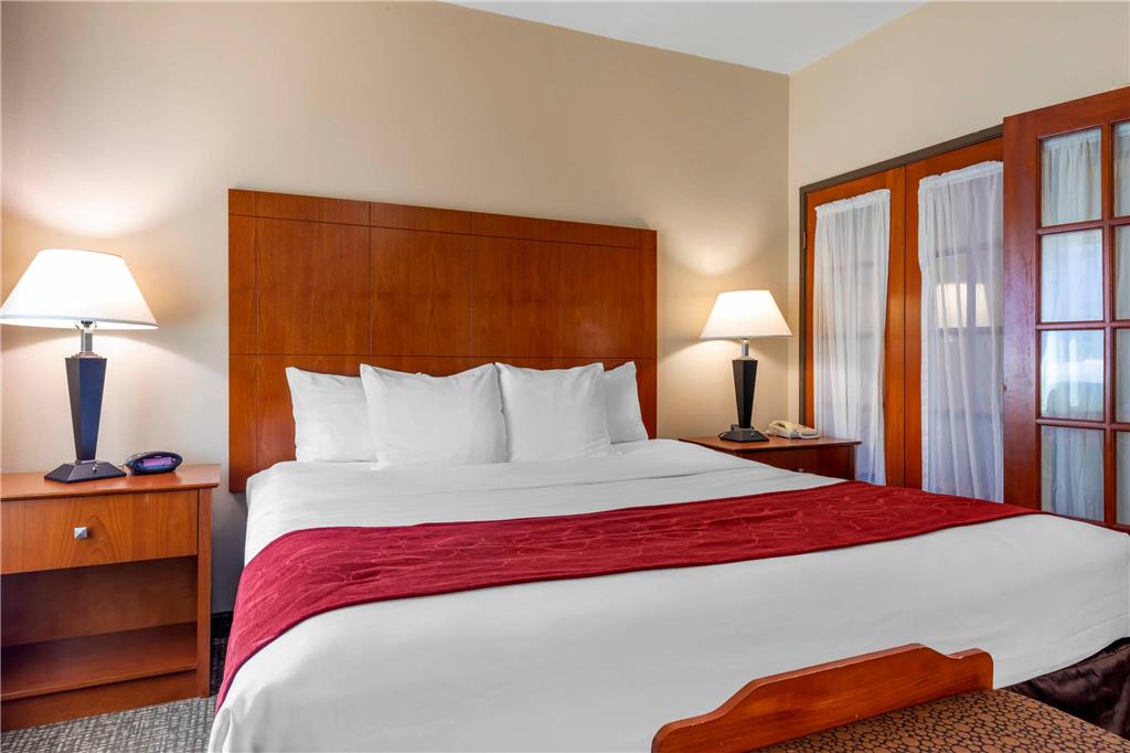Comfort Suites North Dallas - photo 15