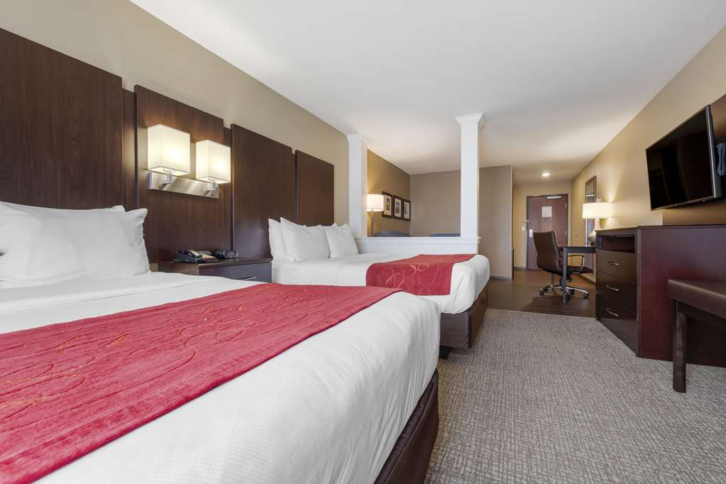 Comfort Suites and Conference Center - photo 20