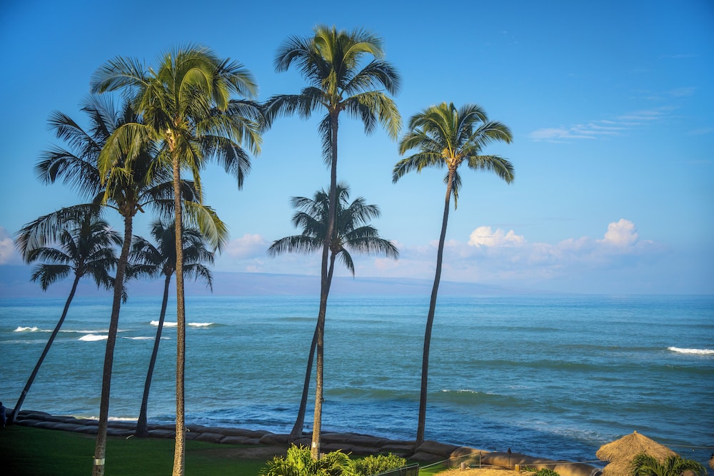 Royal Kahana Maui By Outrigger - photo 790