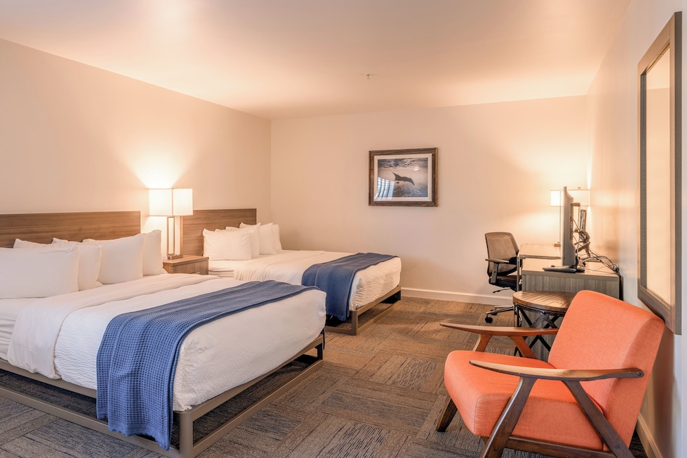 Inn At Moss Landing Point - photo 46