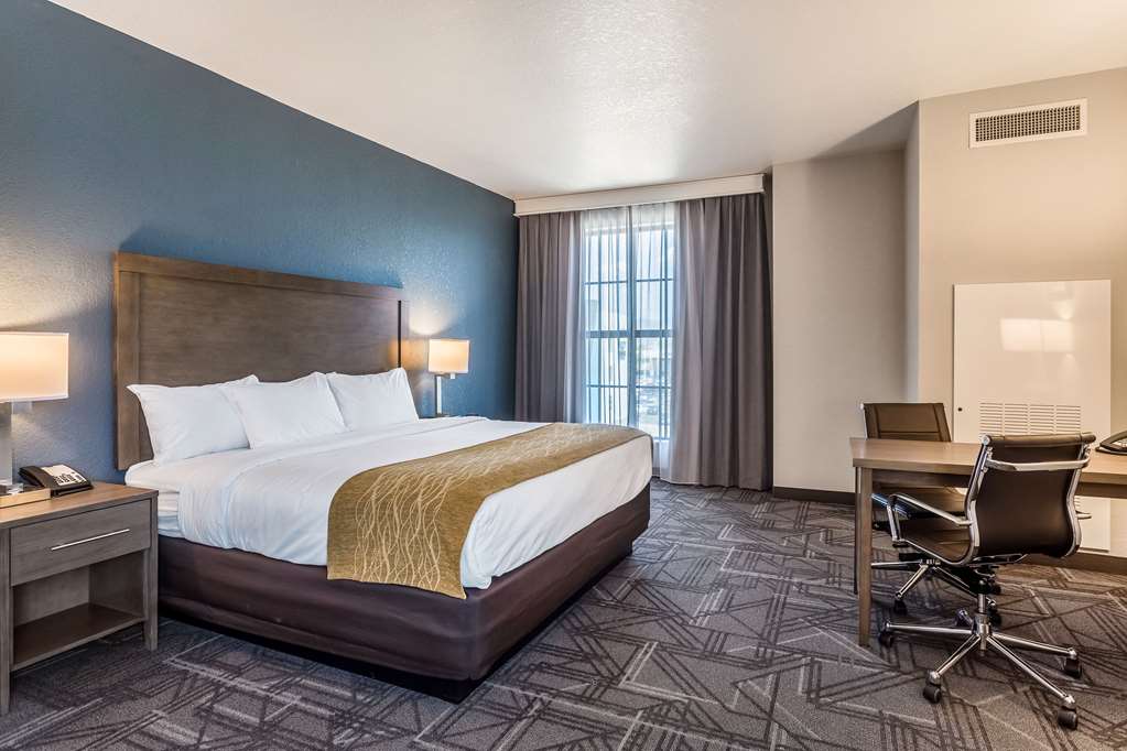 Comfort Inn & Suites Salt Lake City Airport - photo 46