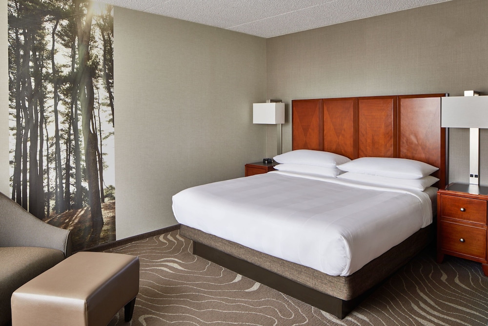 Detroit Metro Airport Marriott - photo 15