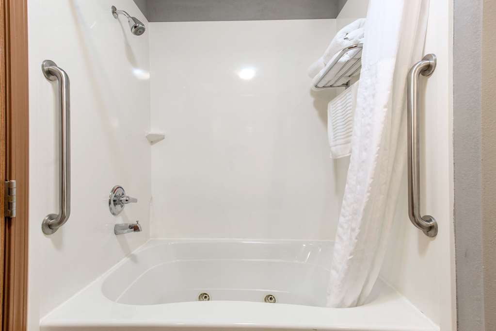 Comfort Suites Fairview Heights St. Louis - photo 26