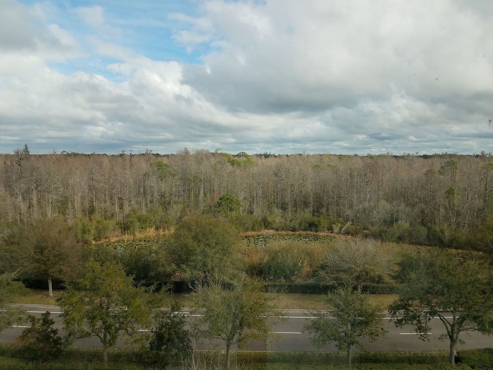 Hilton Garden Inn Tampa Suncoast Parkway - photo 62