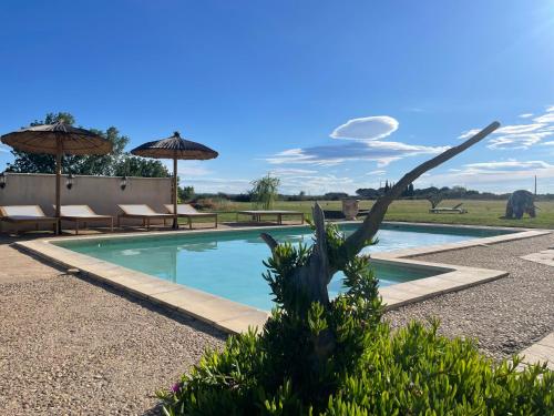 Mas Des Paz — hotel in Aigues-Mortes