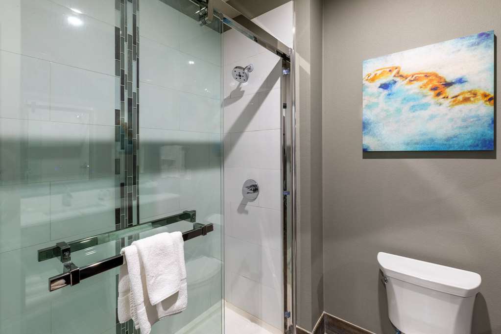La Quinta Inn & Suites by Wyndham Dallas Frisco Stadium - photo 27