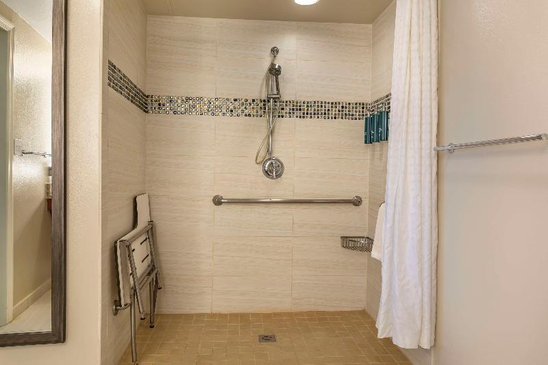 Hilton Grand Vacations Club SeaWorld Orlando - photo 204
