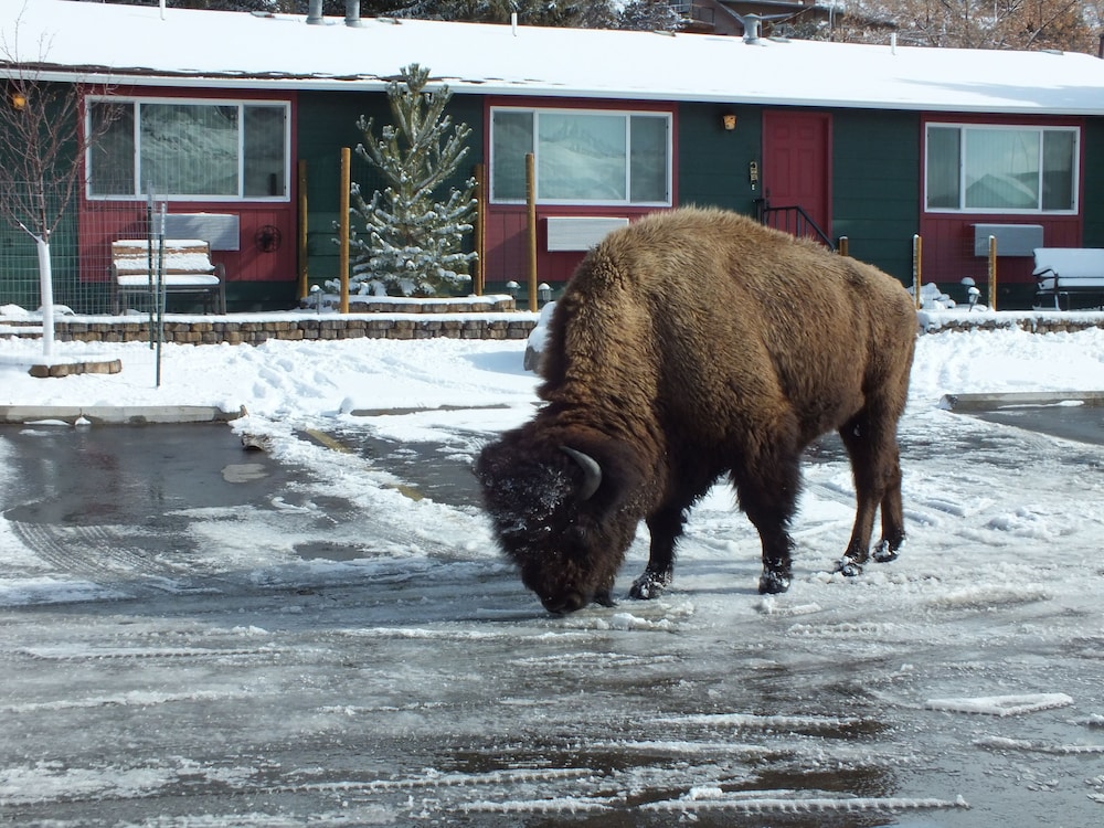 Yellowstone Gateway Inn - photo 123