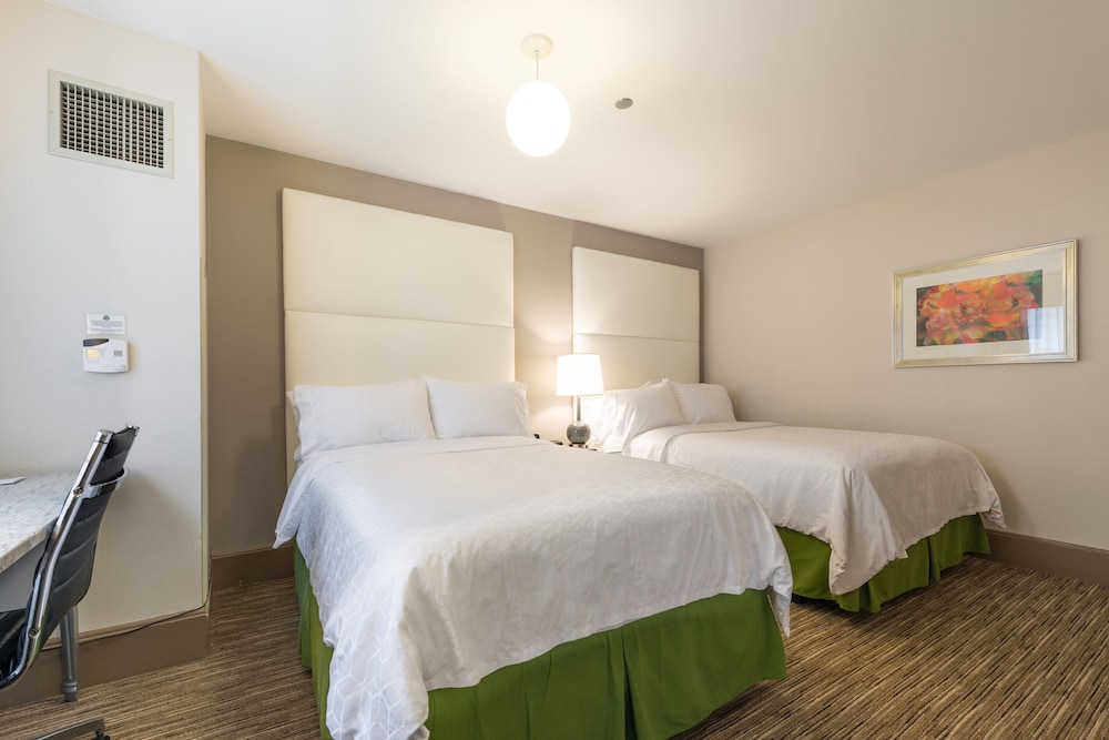 Holiday Inn Express Chicago Magnificent Mile - photo 12