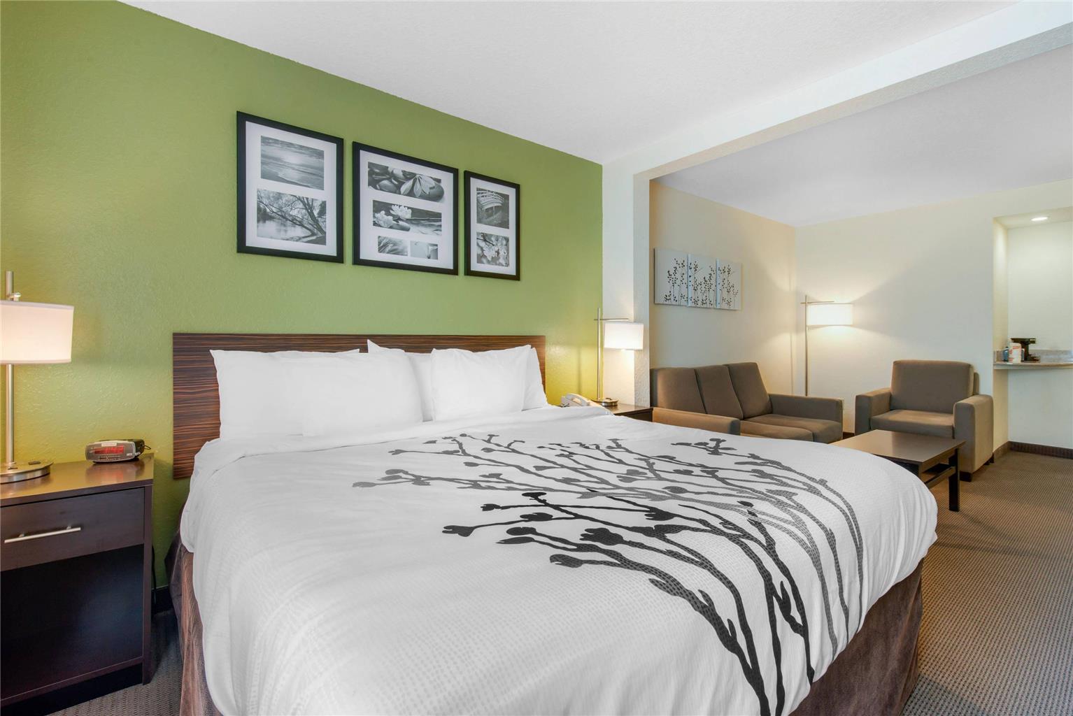 Sleep Inn & Suites Port Charlotte Punta Gorda - photo 20